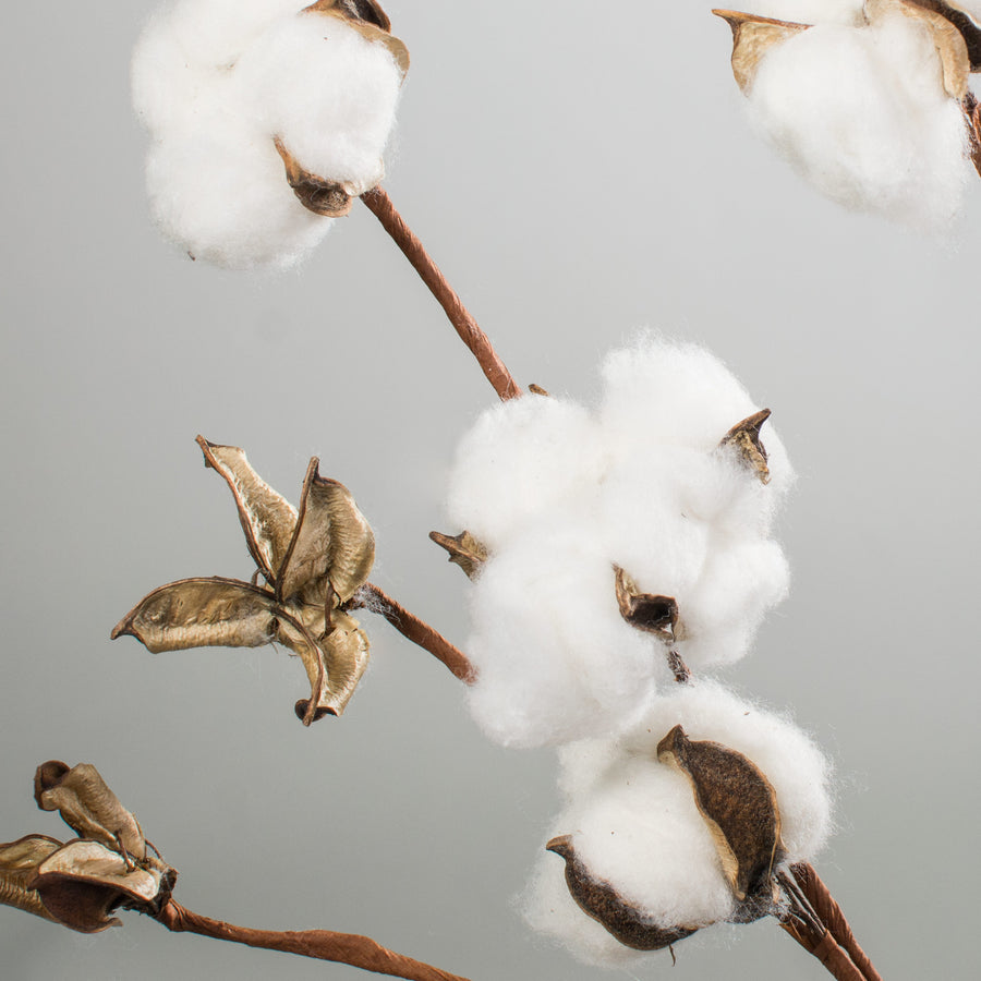 31" Cotton Boll Spray