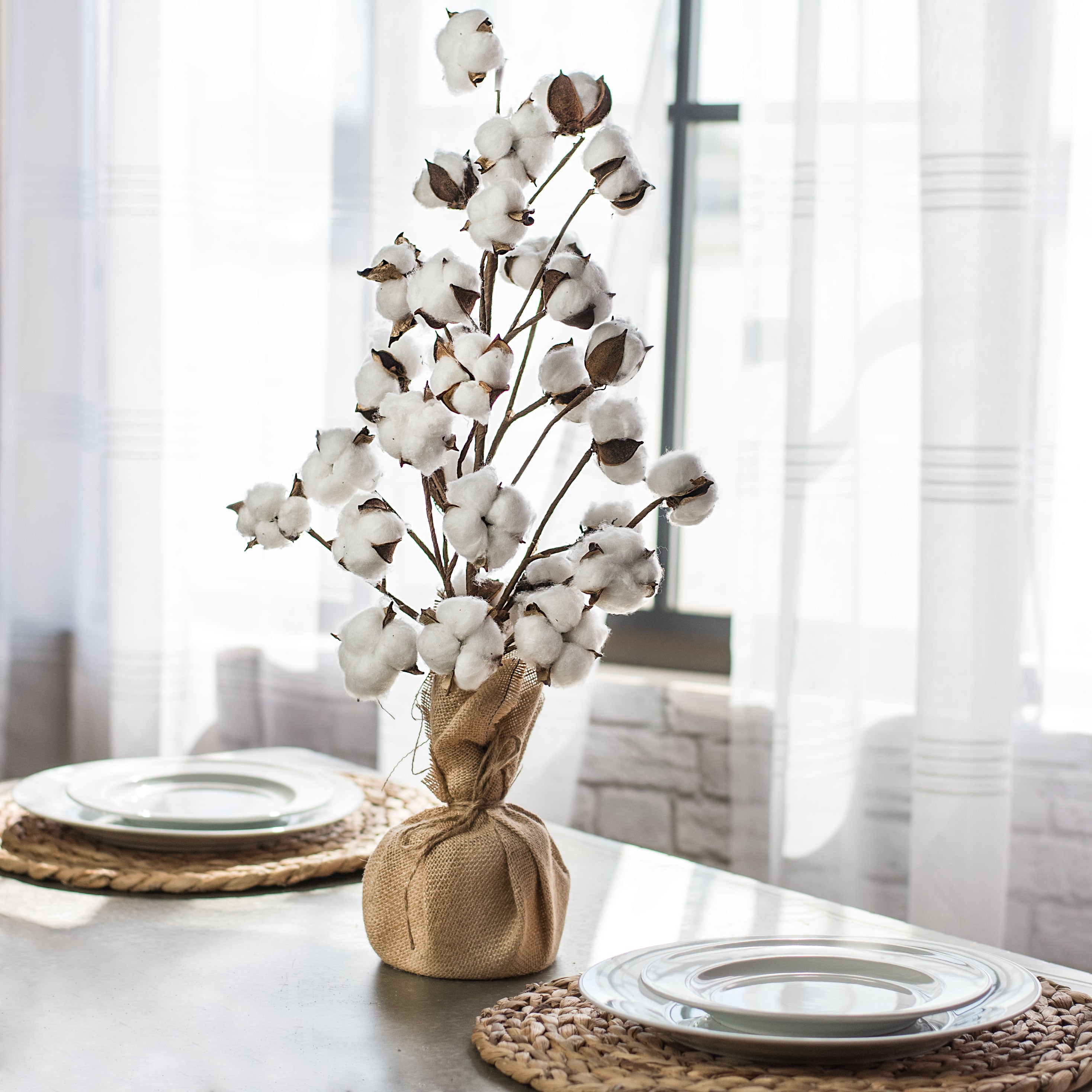 24" Cotton Tree With Burlap Base