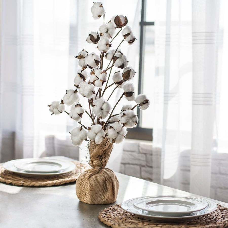 24" Cotton Tree With Burlap Base