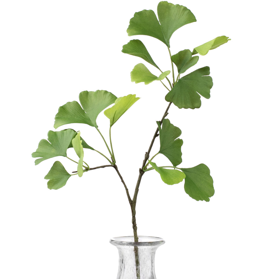26" Ginkgo Leaf Spray