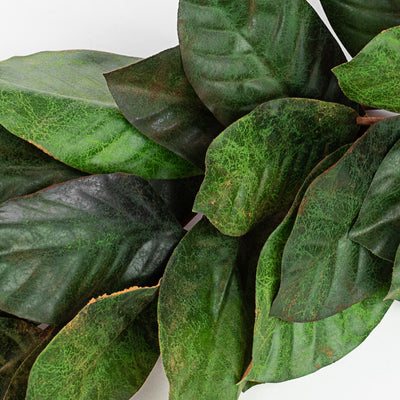 6' Magnolia Leaf Garland