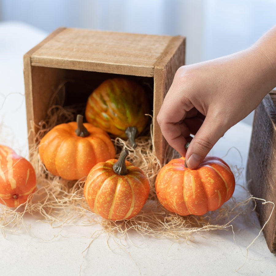 Faux Pumpkin Assortment: Orange (Set of 5)