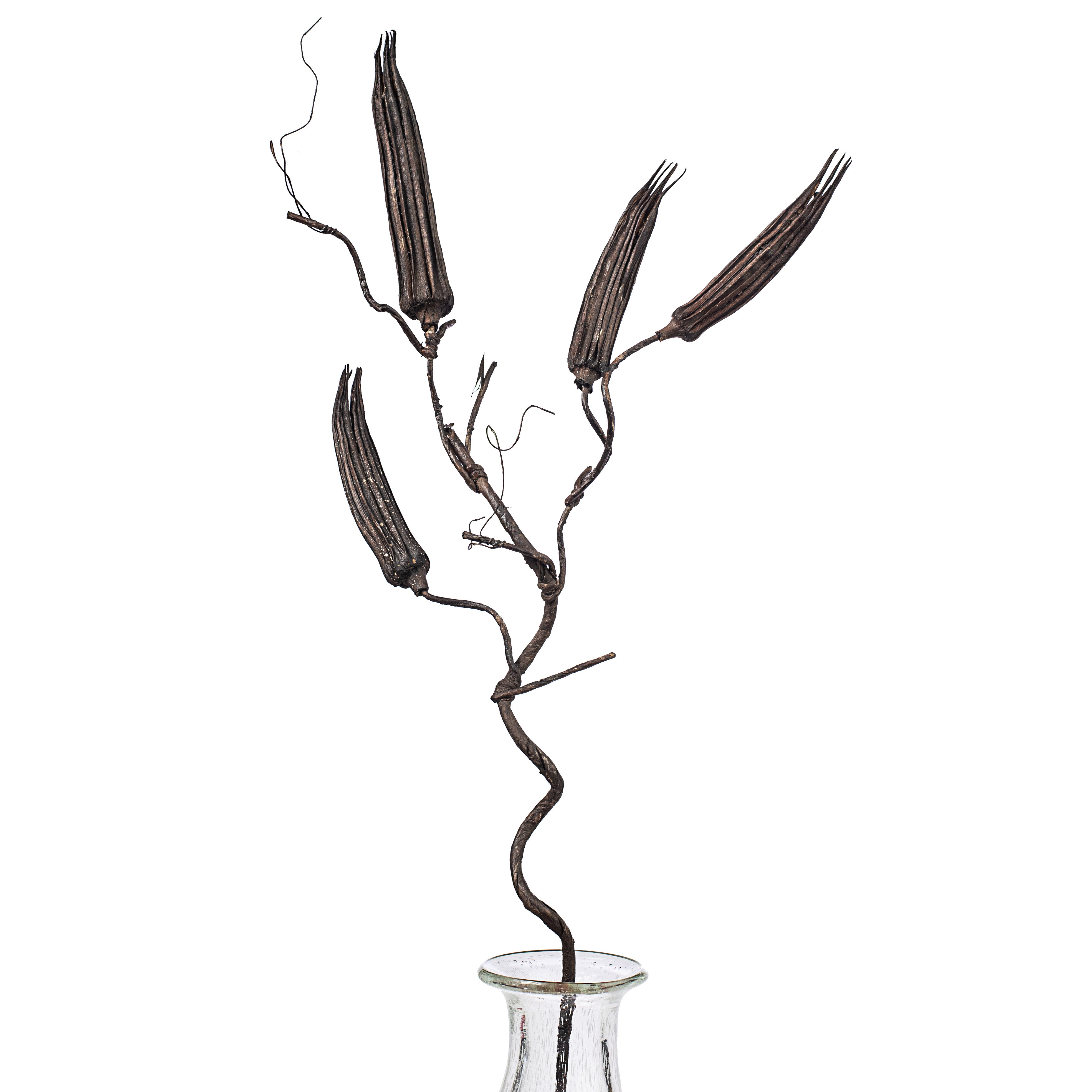 30" Brown Long Pod Branch