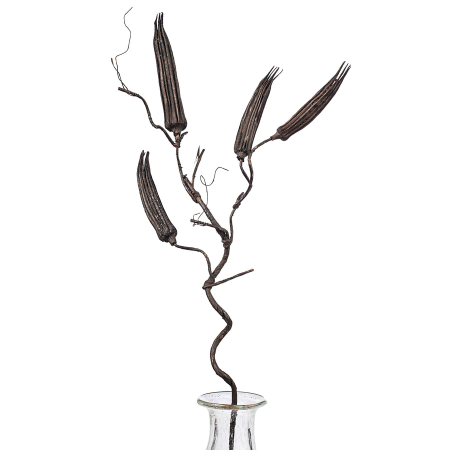 30" Brown Long Pod Branch