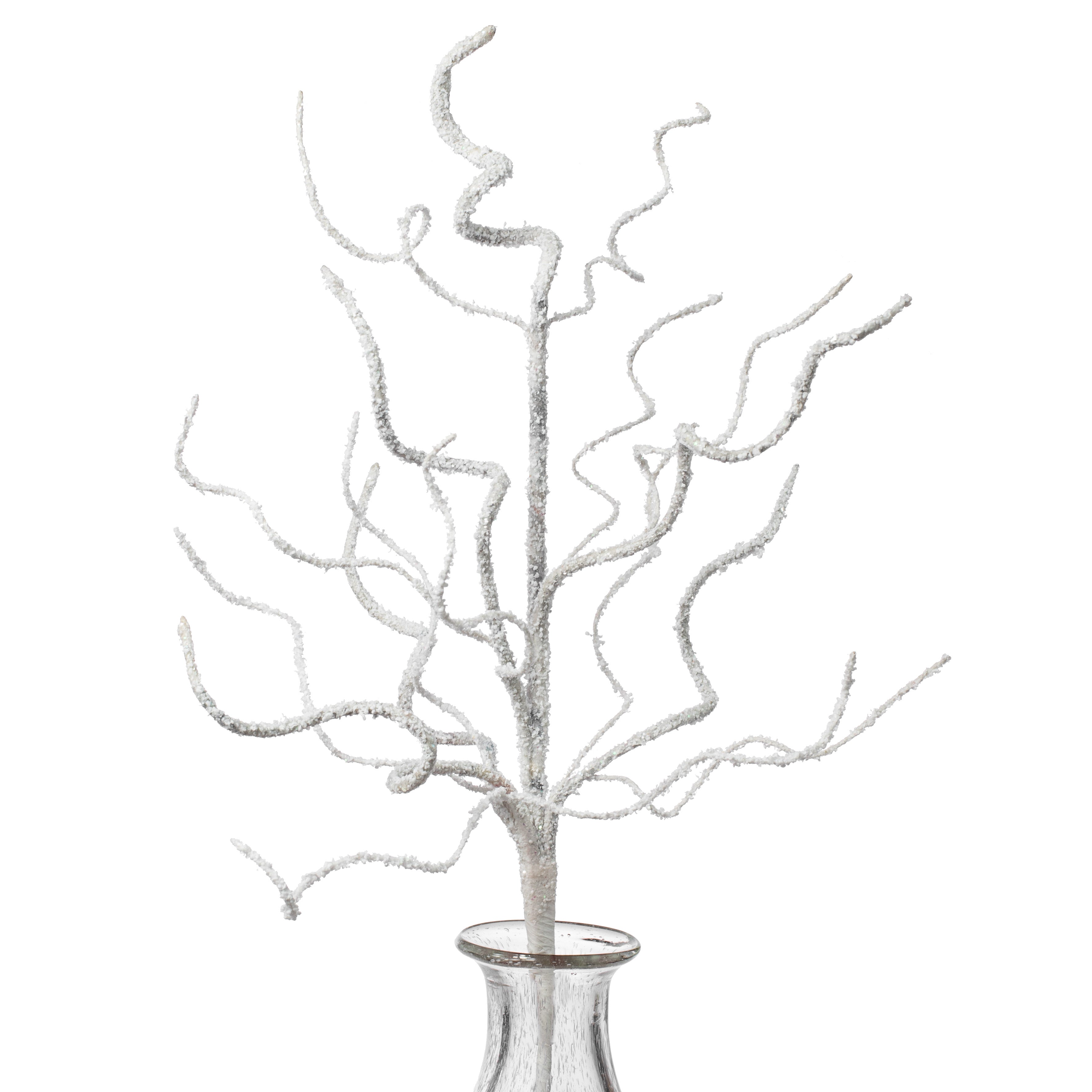 24" Snowy Glittered Curly Branch