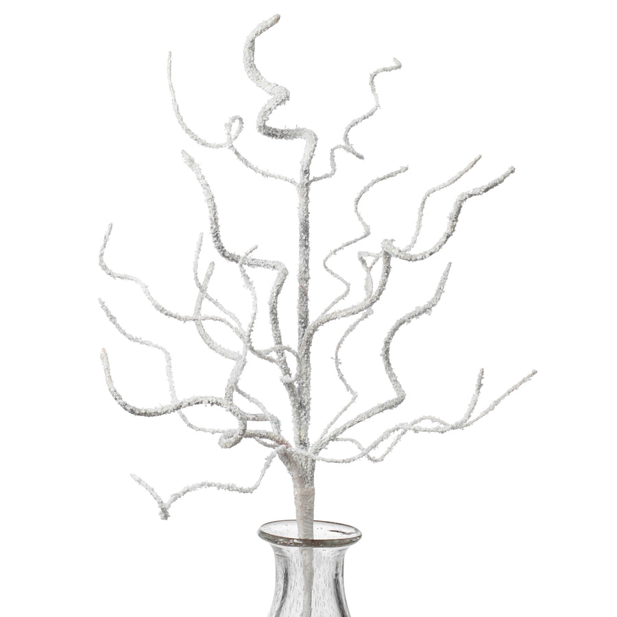 24" Snowy Glittered Curly Branch