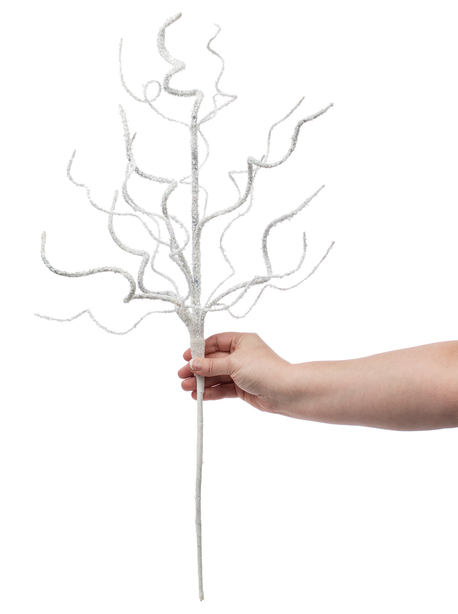 24" Snowy Glittered Curly Branch