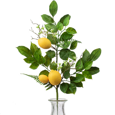 25" Lemon, Fern, Leaf Spray