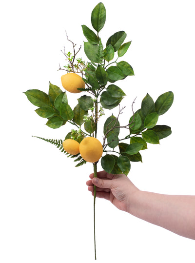 25" Lemon, Fern, Leaf Spray