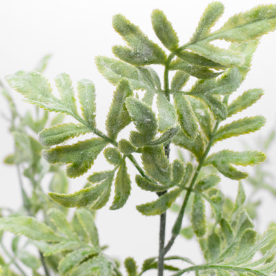 16" Flocked Dusty Miller Bush
