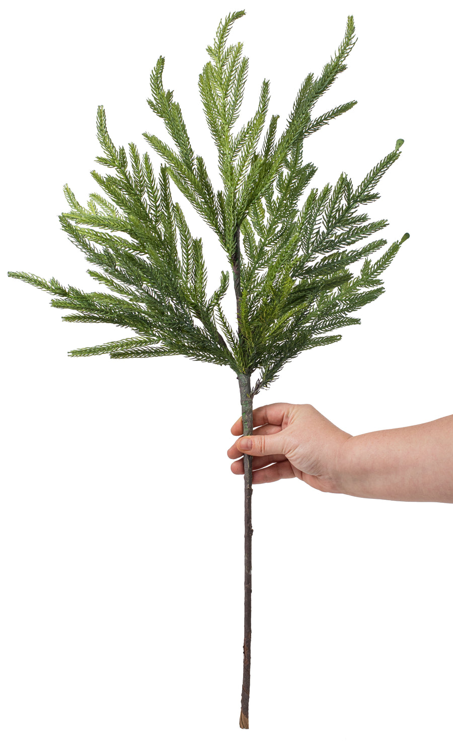 36" Fir Branch Spray