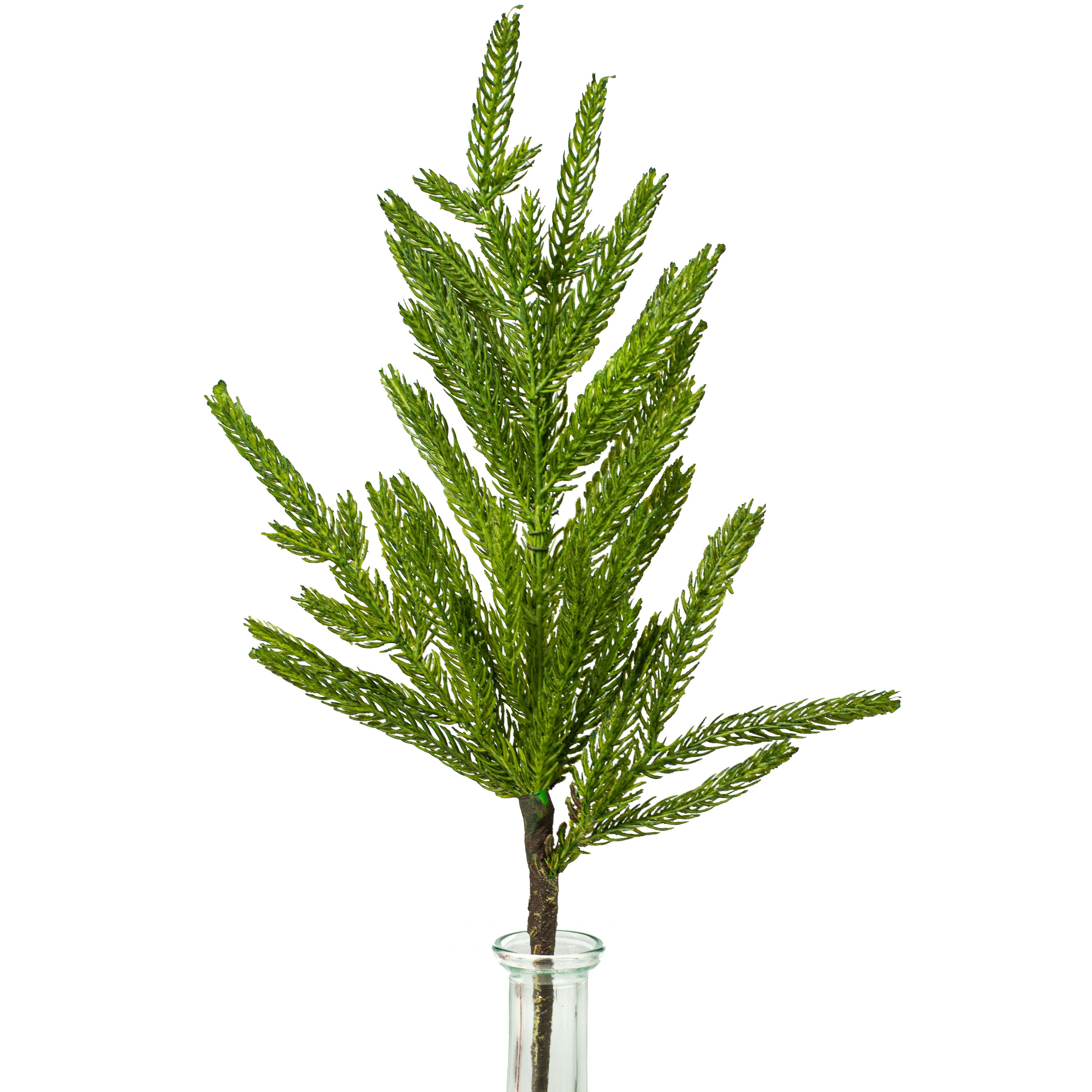 16" Fir Branch Spray
