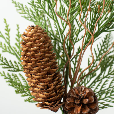 22" Incense Cedar & Cone Spray