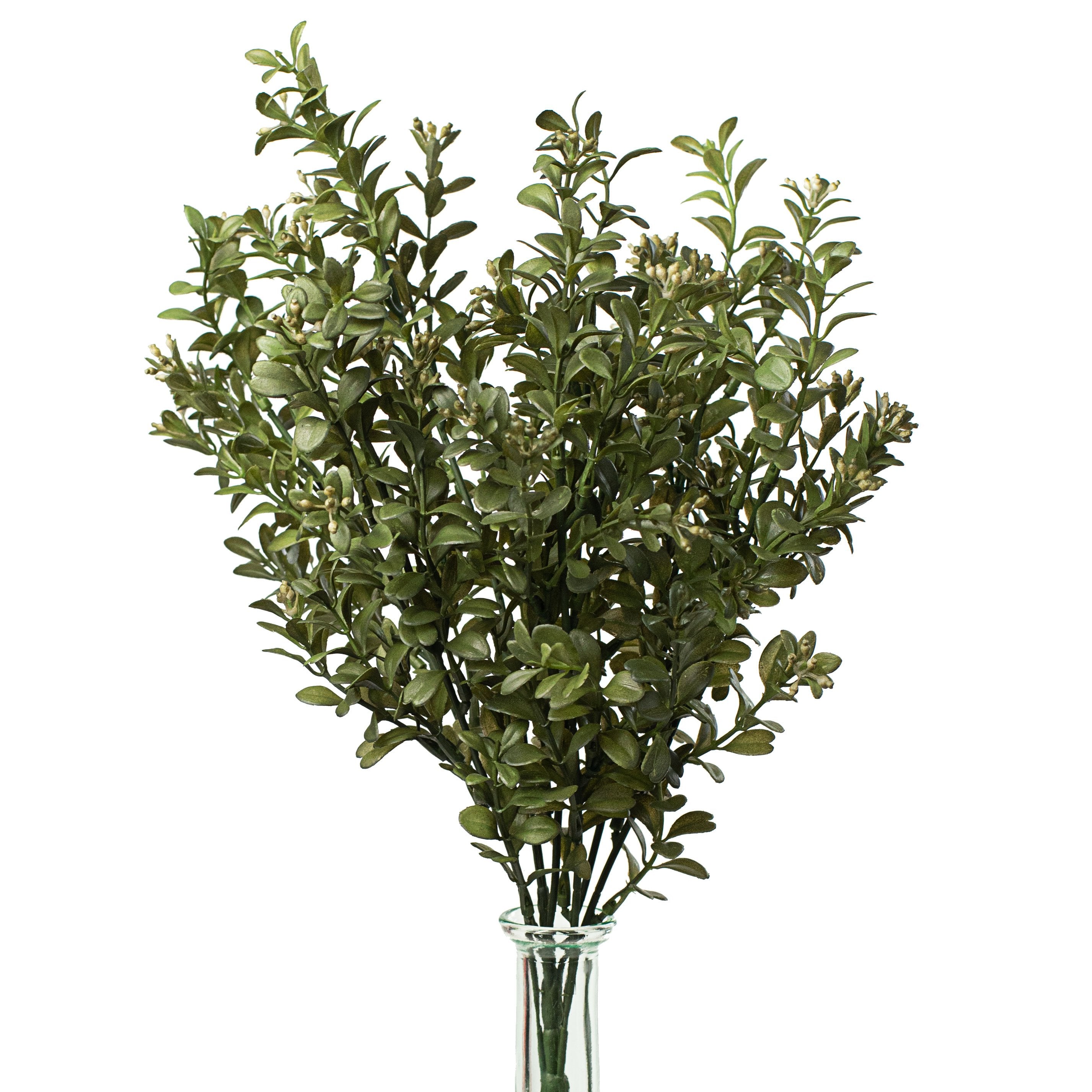 17" Mini Boxwood Bush