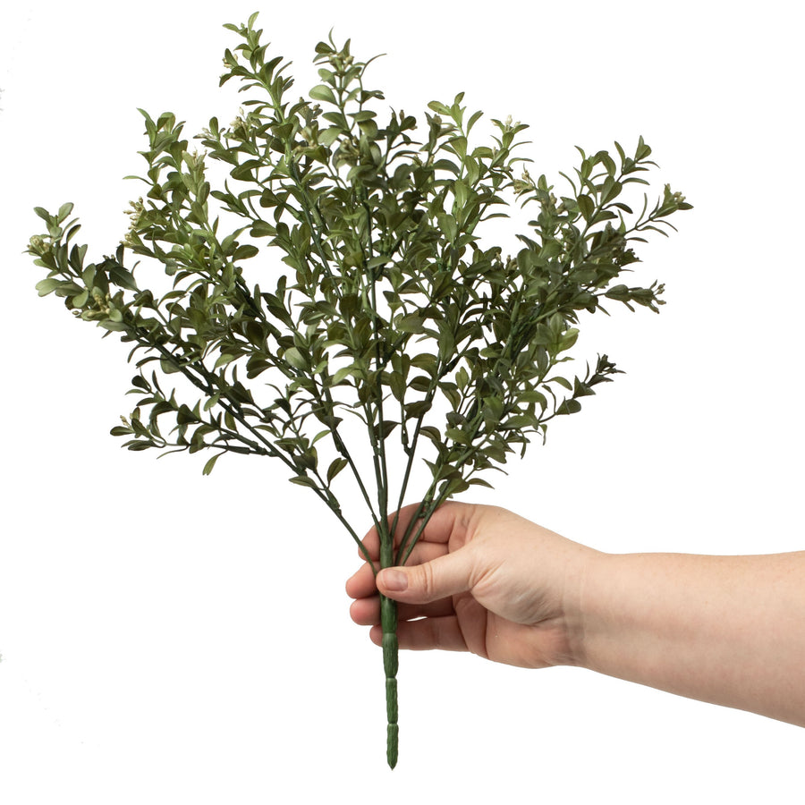 17" Mini Boxwood Bush
