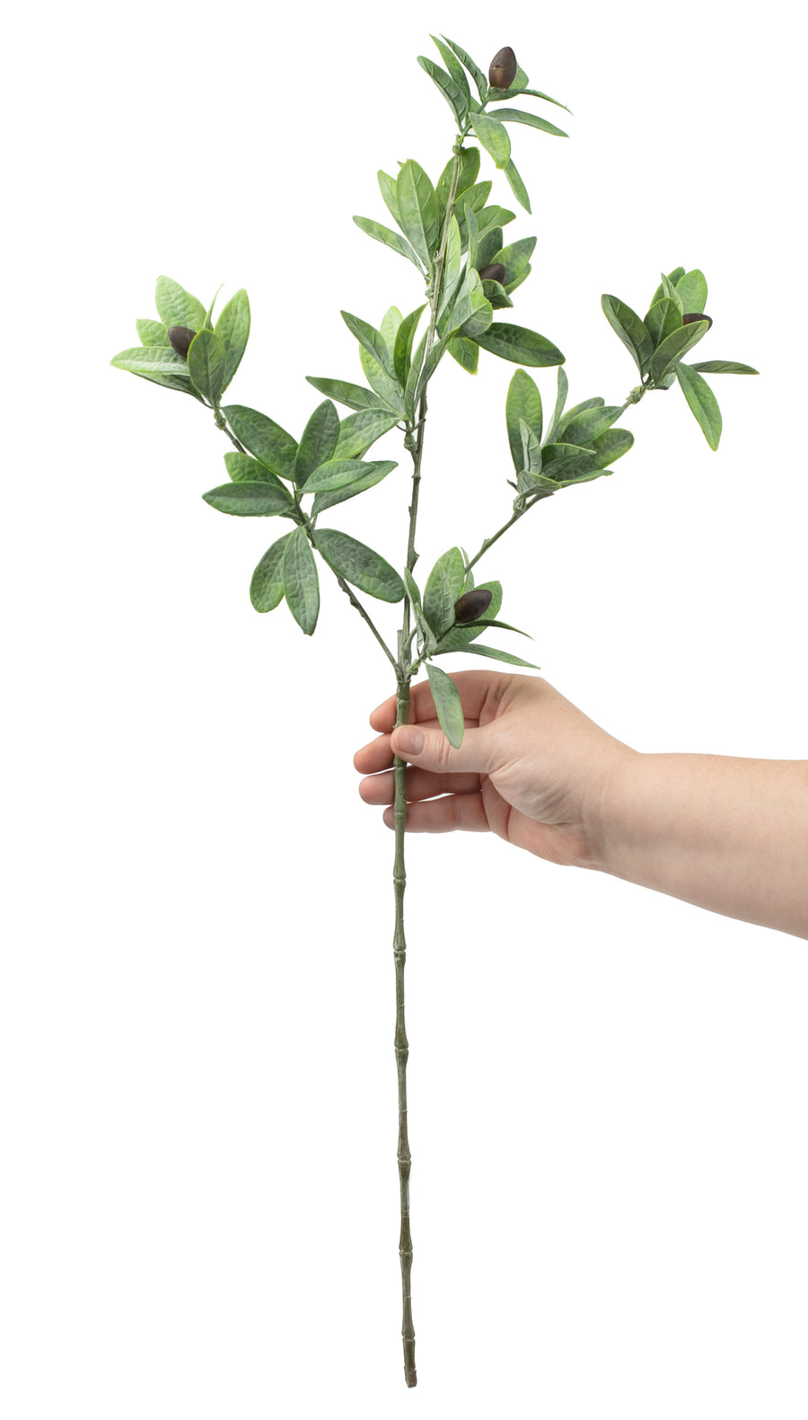 26" Dusty Olive Spray