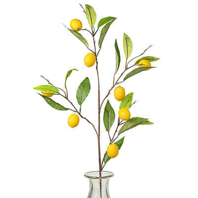 38" Lemon Branch