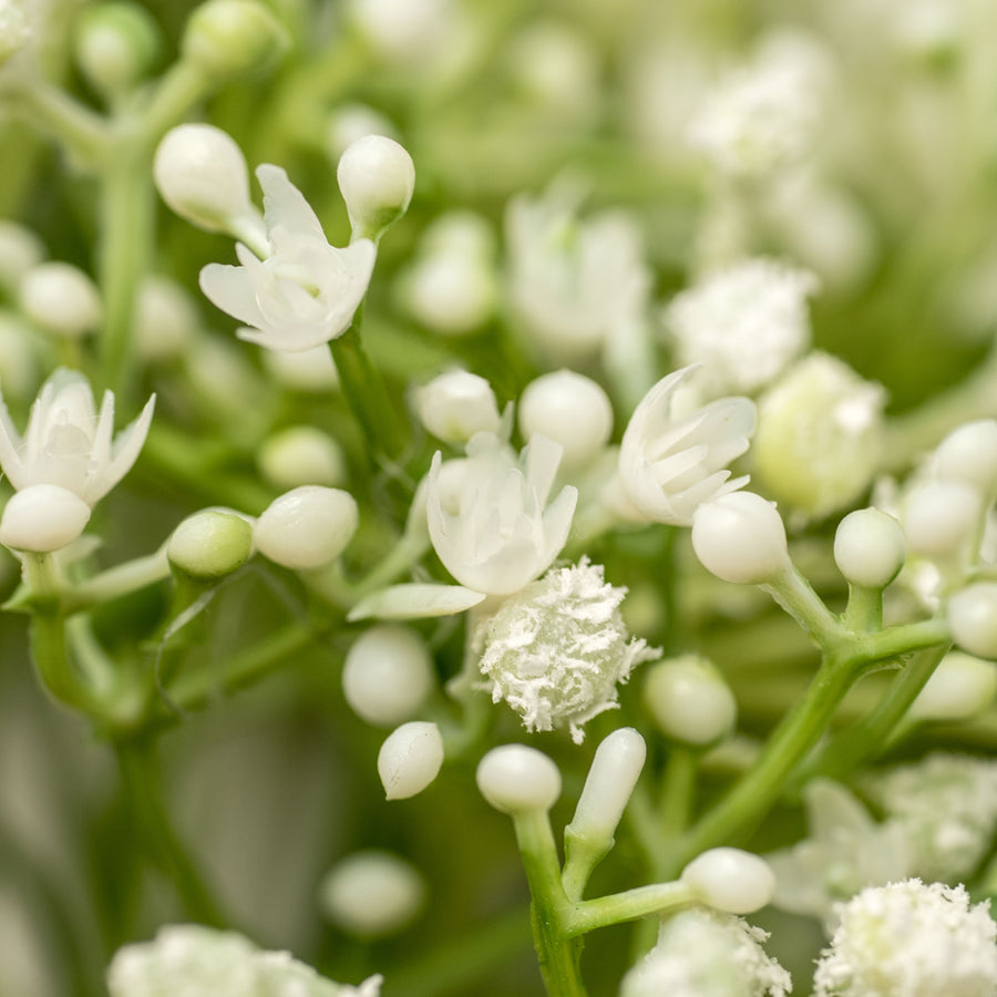 11" Gypso Baby's Breath Bundle (10)