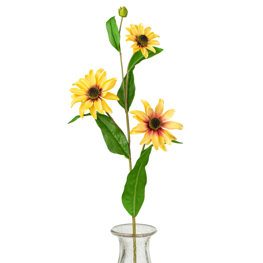 32" Black Eye Susan
