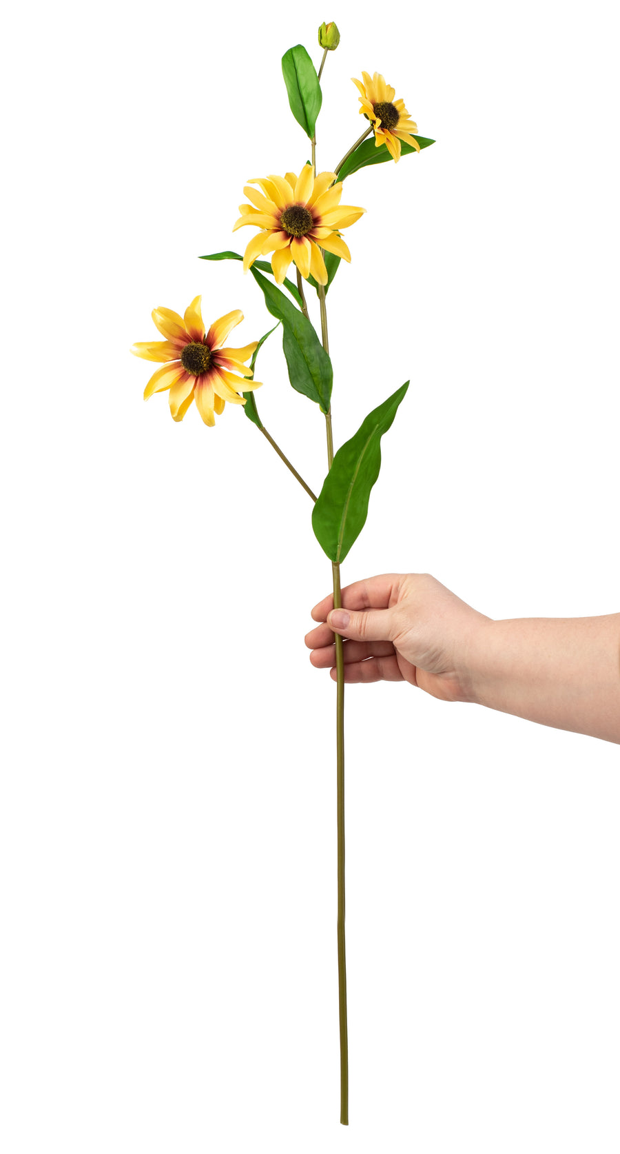 32" Black Eye Susan