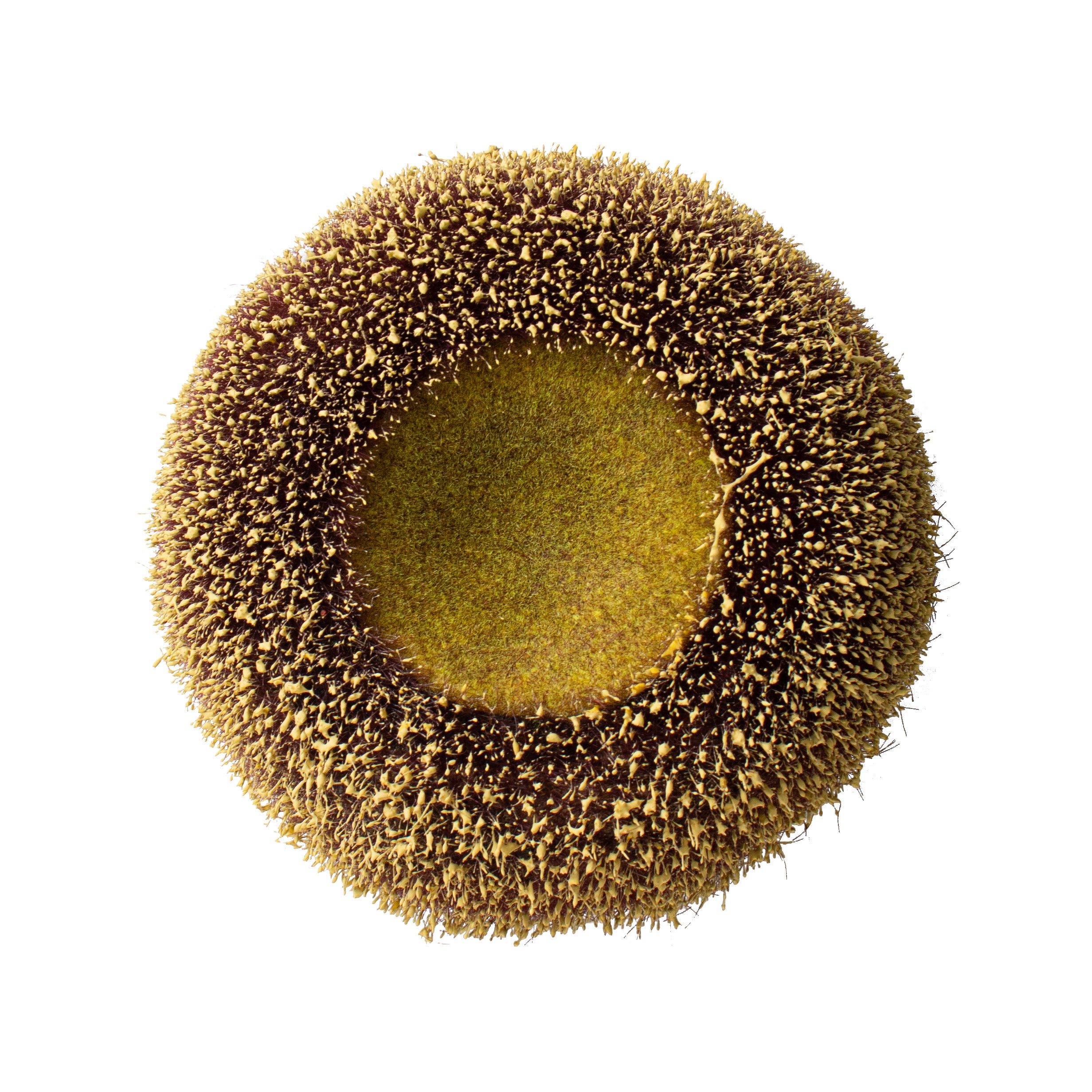 6.5" Sunflower Center: Natural