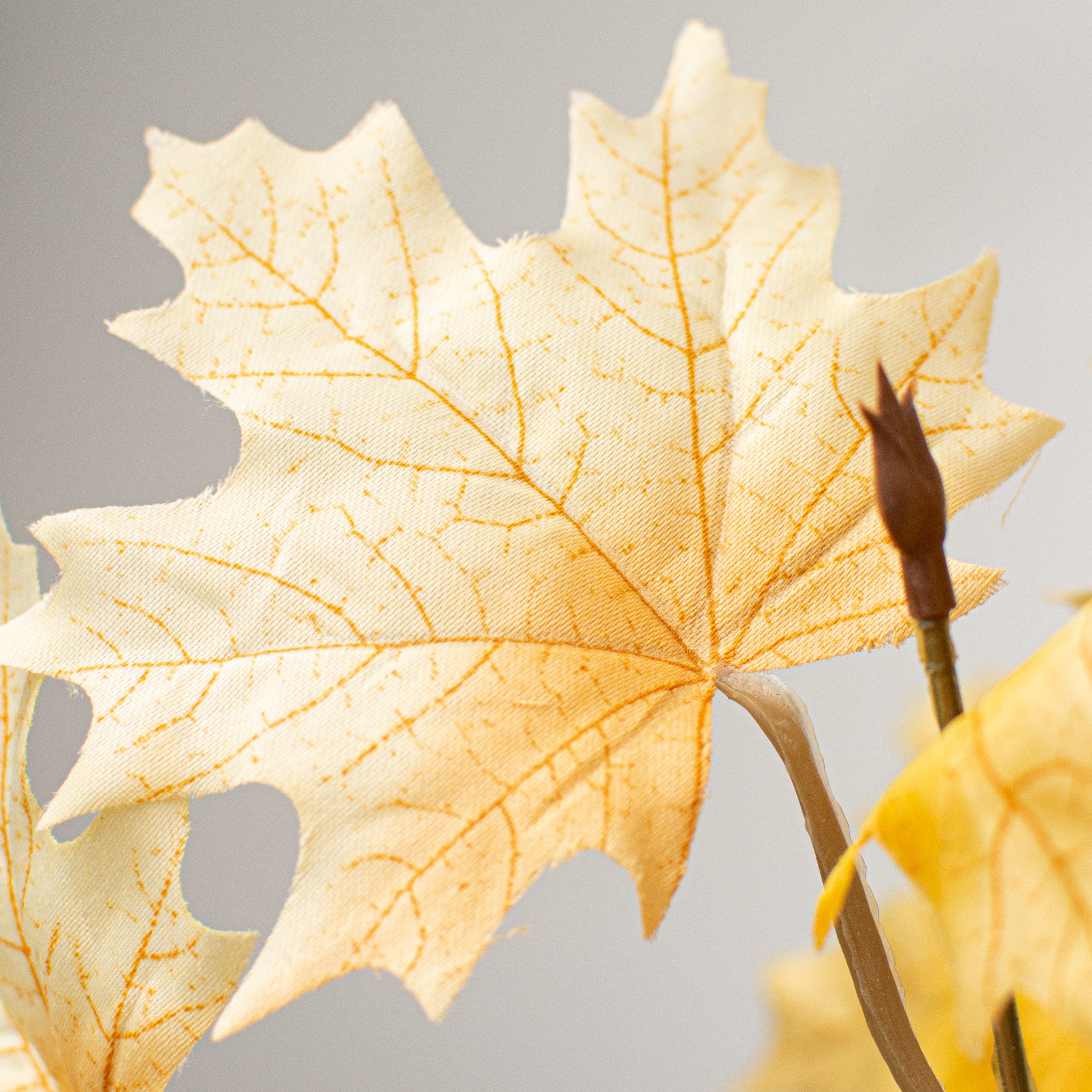 20" Maple Leaf Bush: Beige