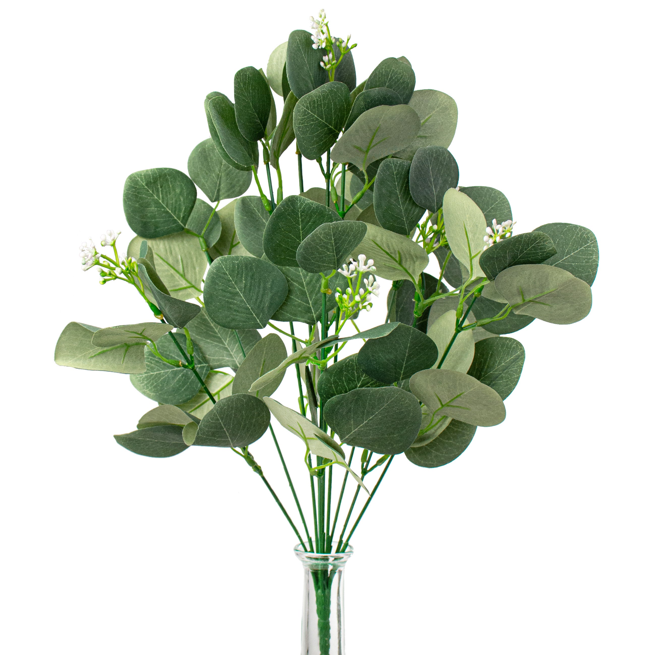 18" Eucalyptus Bush