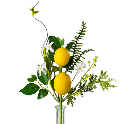 16" Lemon & Fern Pick