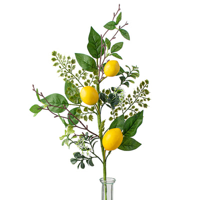 22" Lemon & Fern Spray