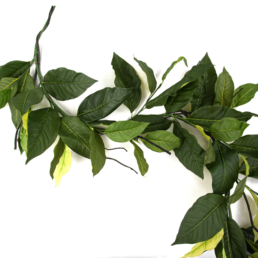5.5' Salal Lemon Leaf Garland