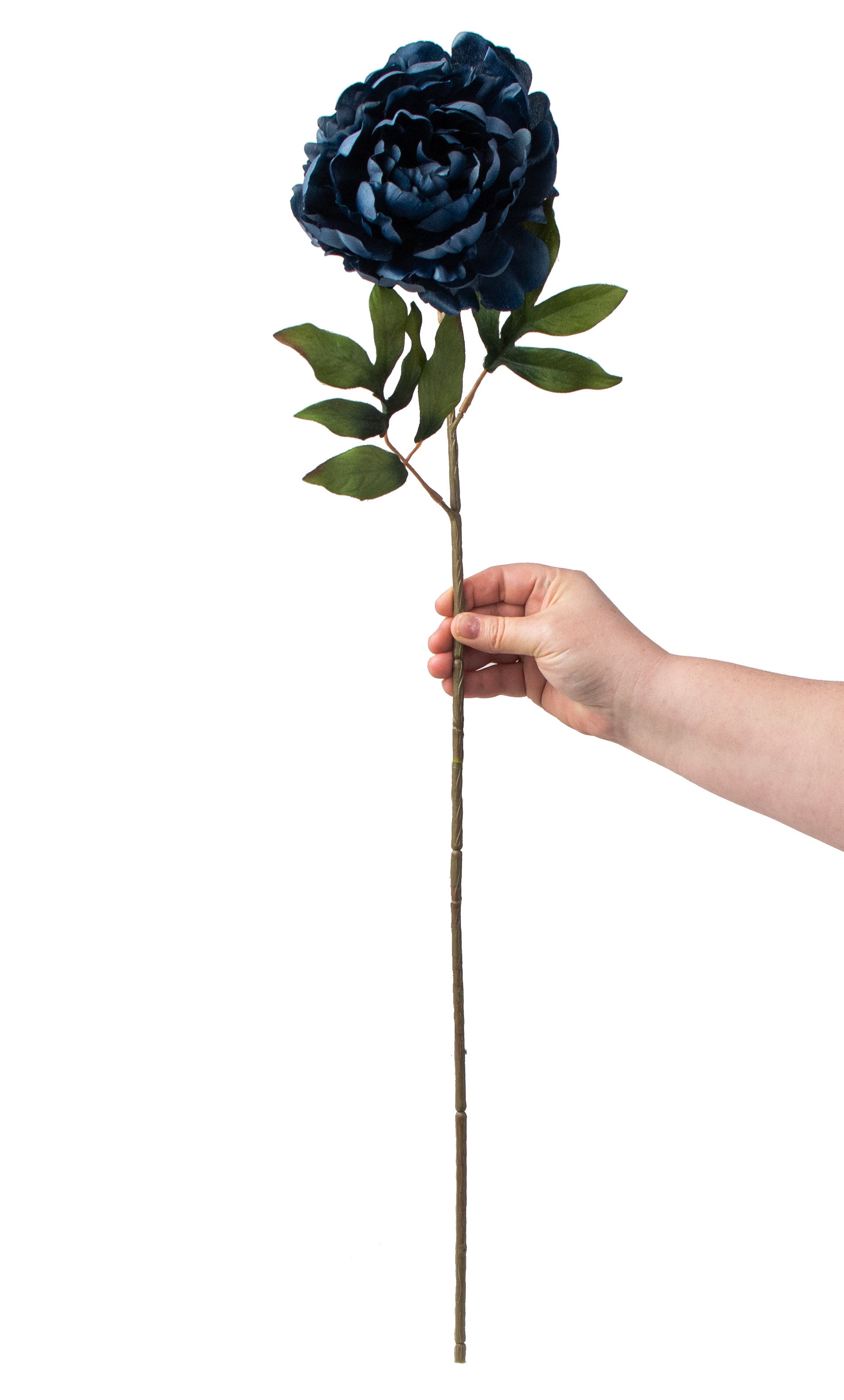 30" Peony Stem: Dark Blue