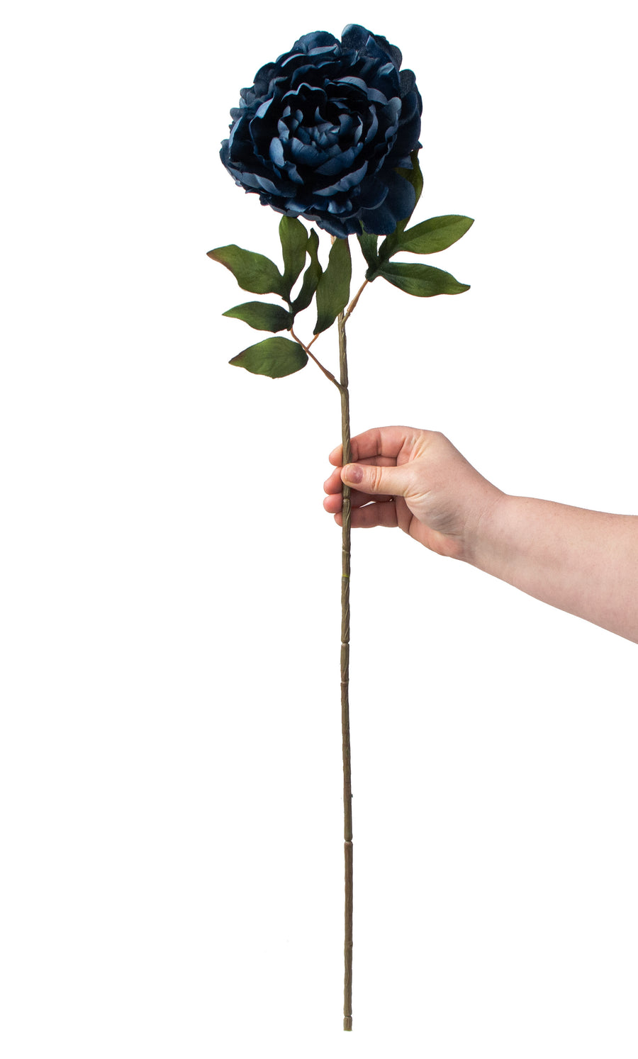 30" Peony Stem: Dark Blue