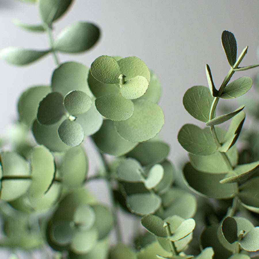 20" Eucalyptus Bush: Light Green