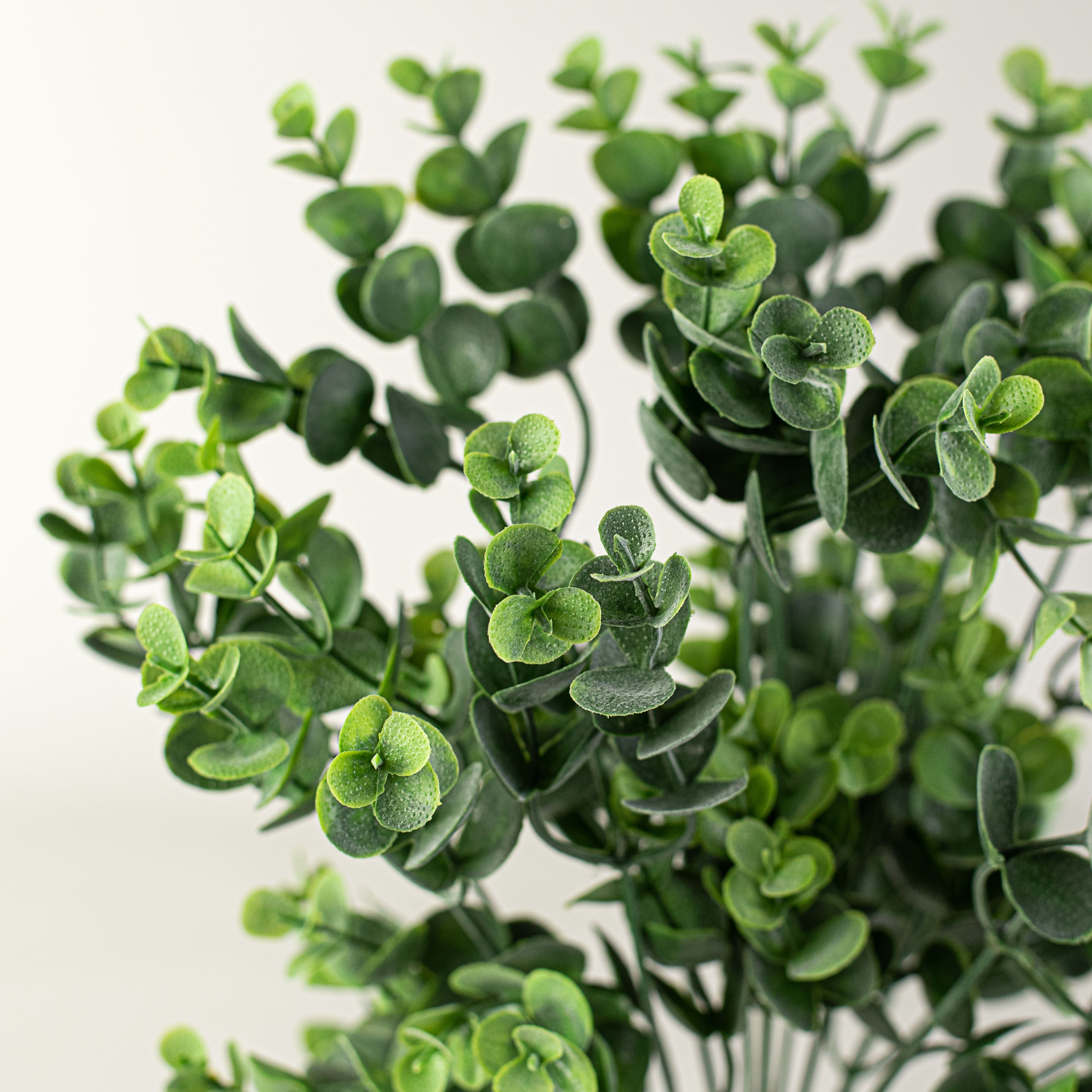 16" Eucalyptus Bush