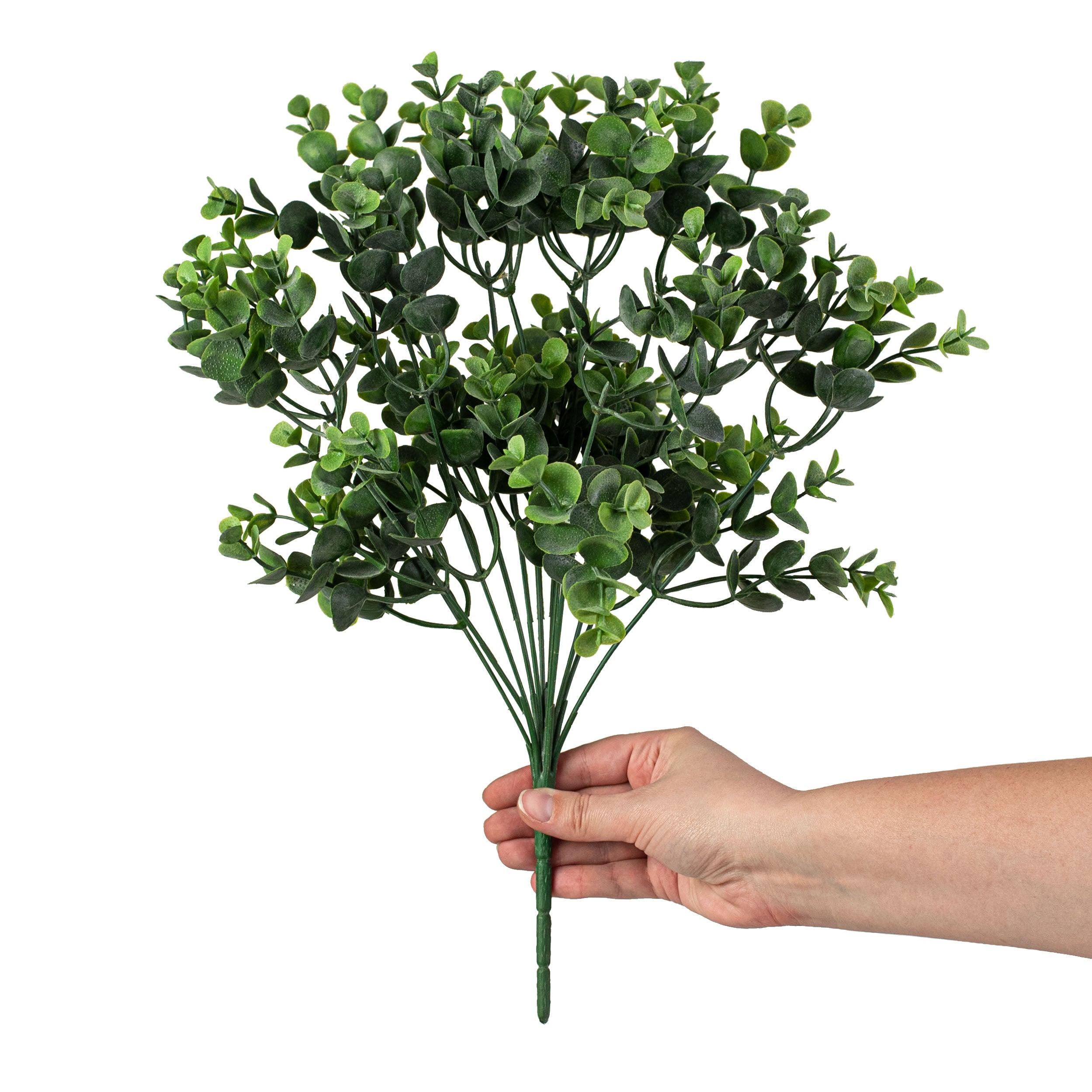 16" Eucalyptus Bush