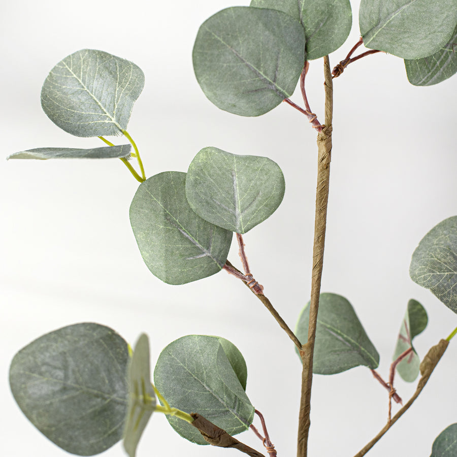 19" Silver Dollar Eucalyptus Pick