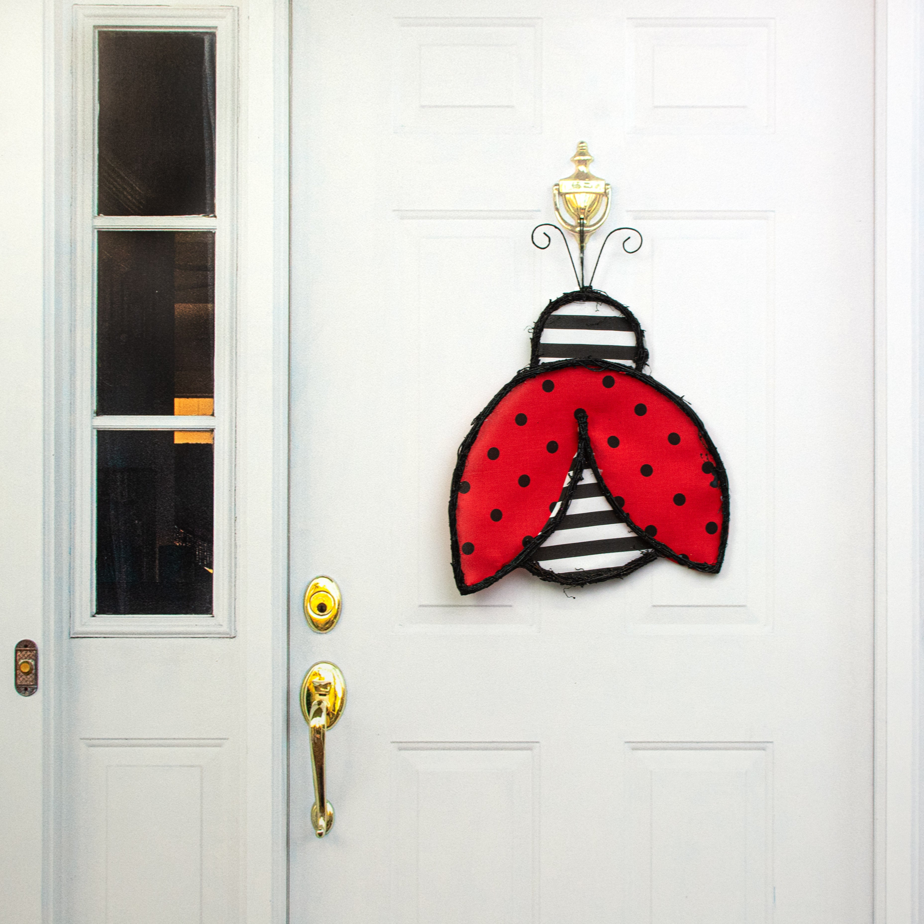 21" Grapevine Hanger: Stripe & Polka Dot Ladybug