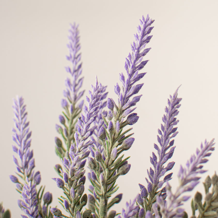 12" Lavender Bundle