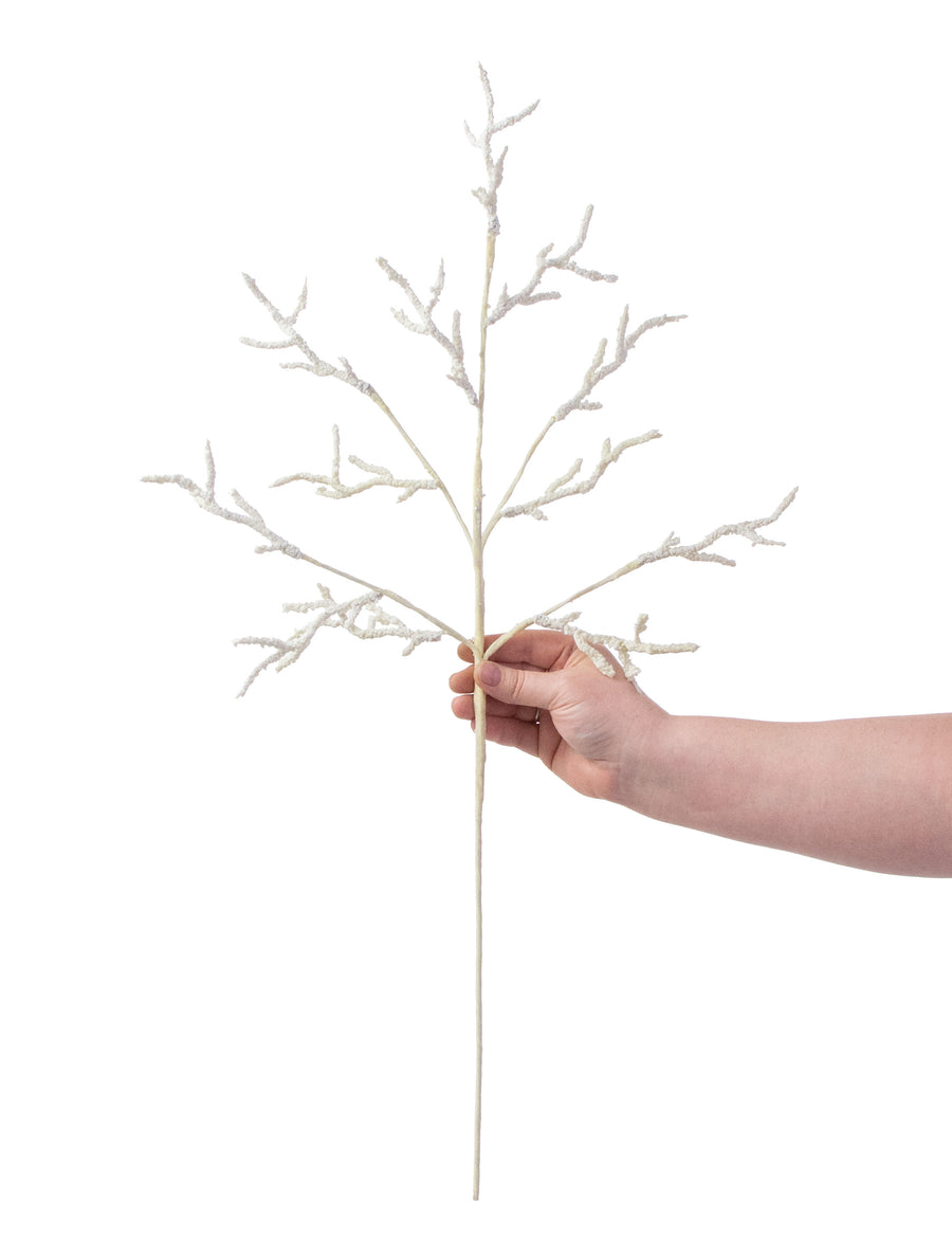 24" Fire Coral Spray: Cream
