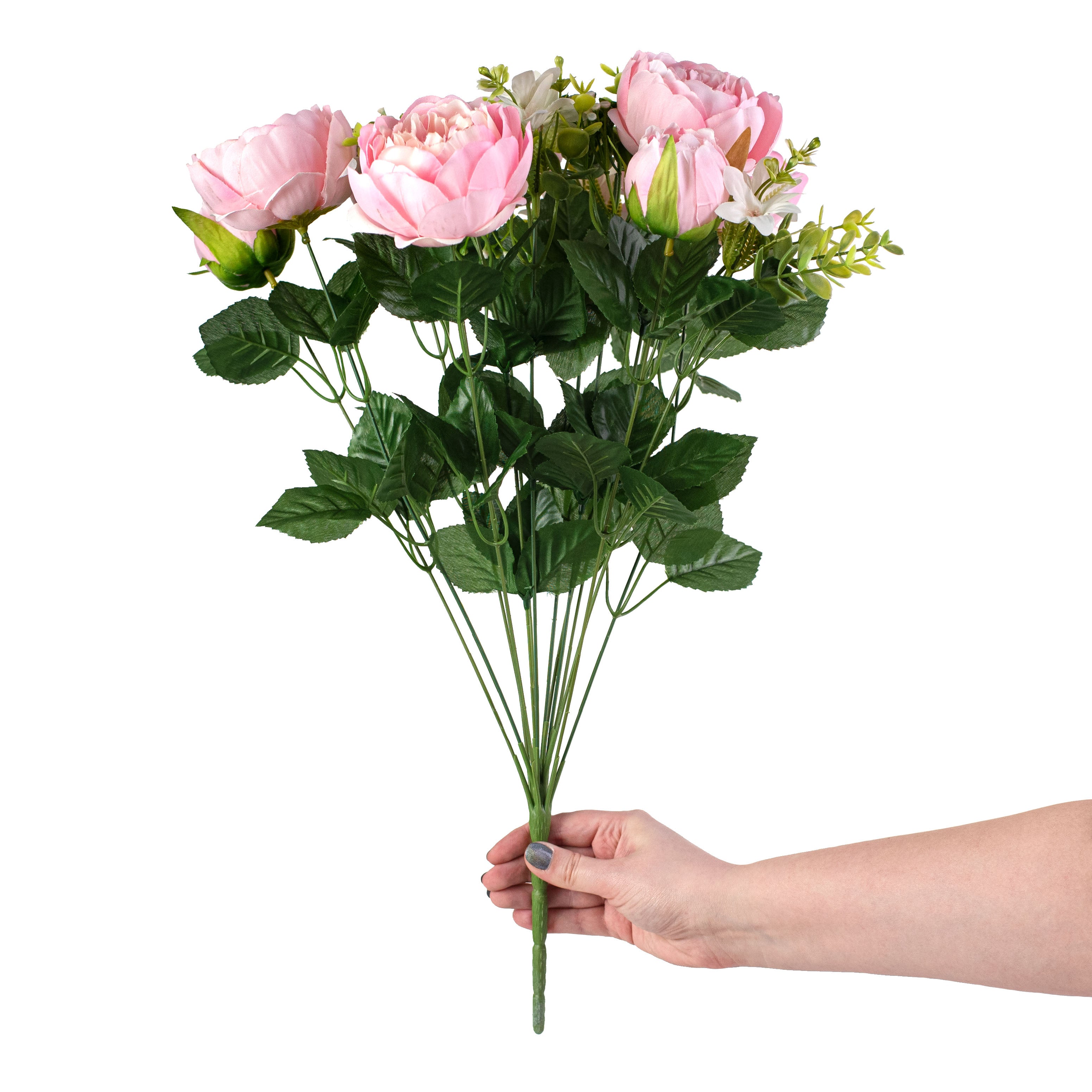 21" Peony Bush: Blush