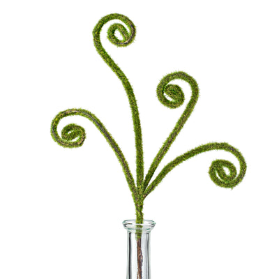 13" Moss Curly Pick