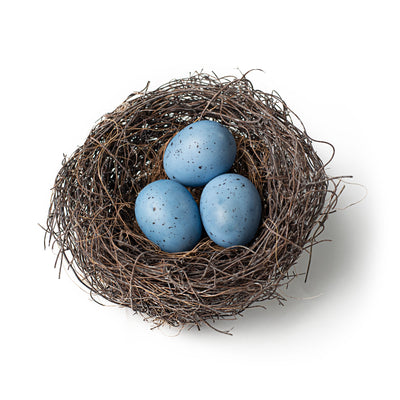 5" Vine Birds Nest with Eggs: Natural Blue