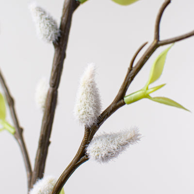 42" Pussy Willow Branch