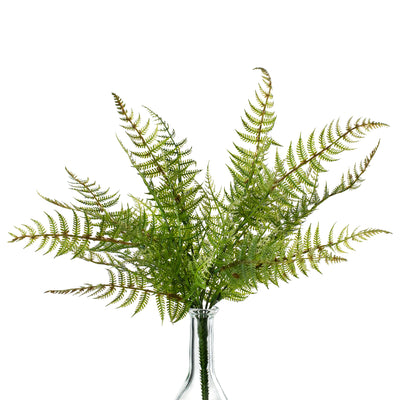 17" Fern Bush
