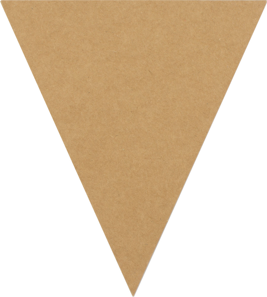 Small Cardboard Paper Triangle Pennant Banner Tags (12)