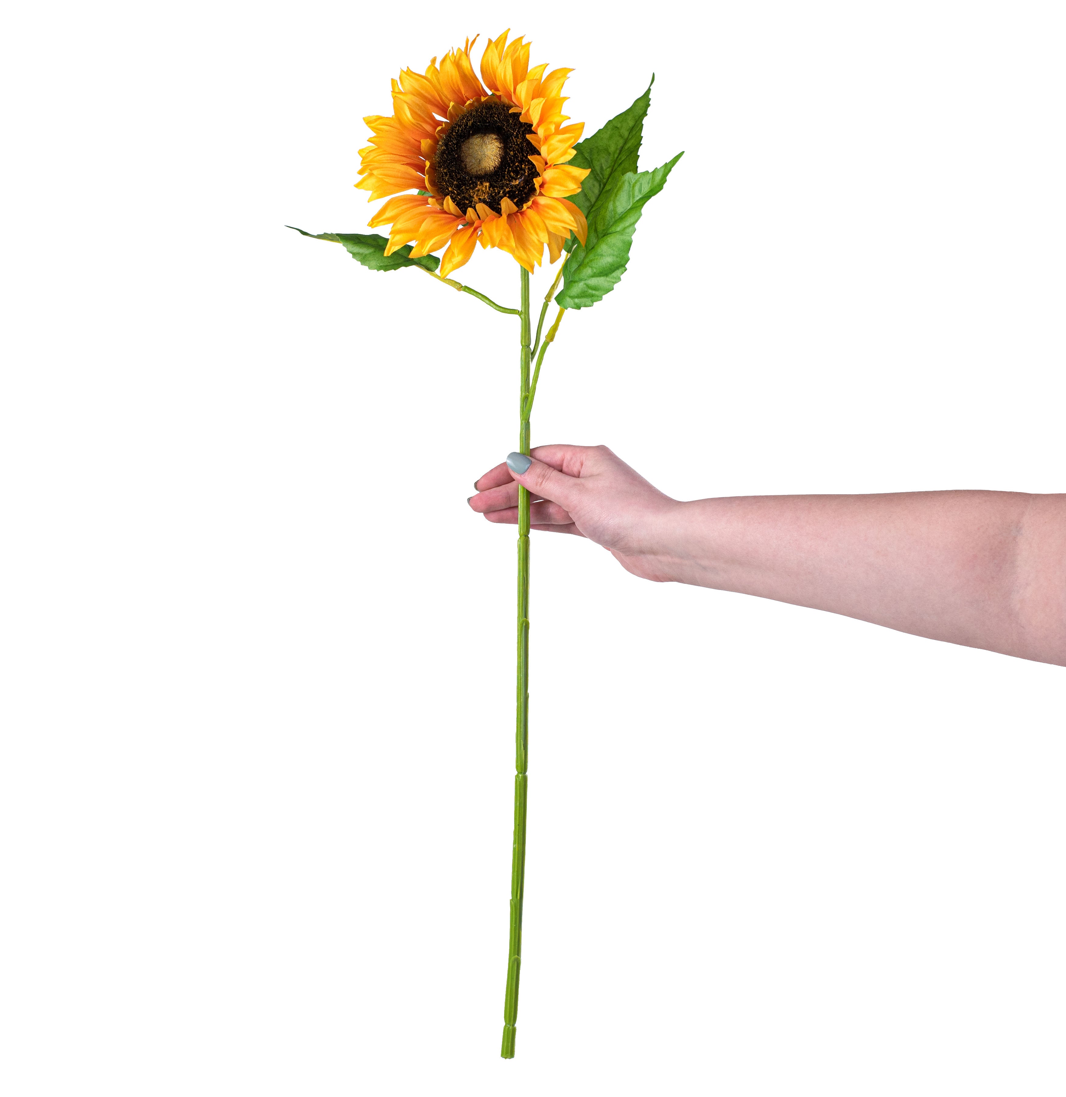 26" Sunflower Stem