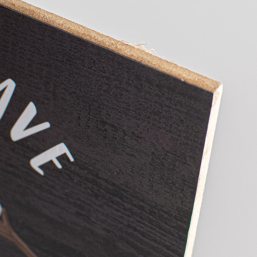 10" Square Wooden Sign: Campers Have S'more Fun