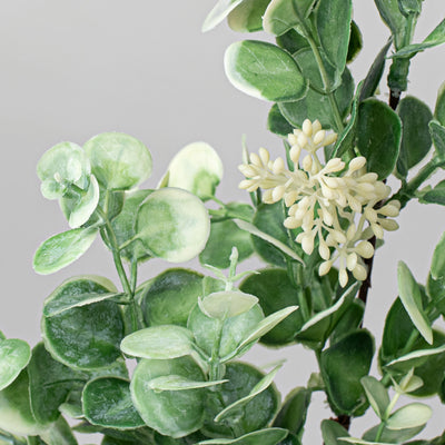 19" Seeded Baby Eucalyptus Spray