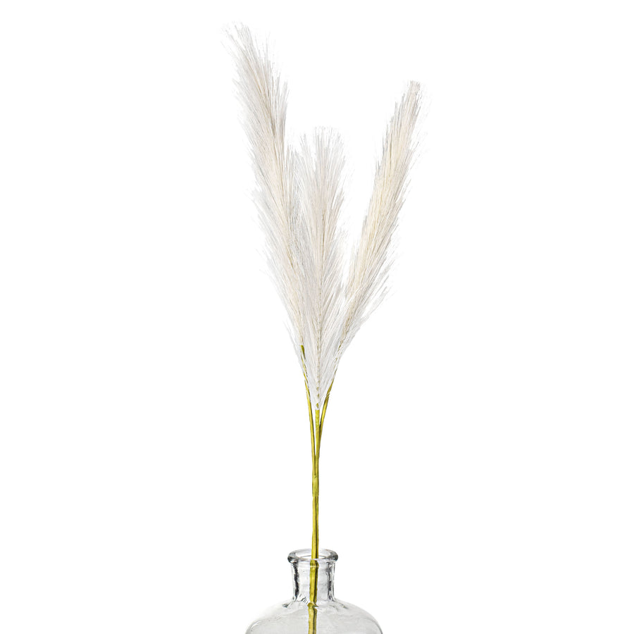 30" Pampas Grass Bundle: Cream