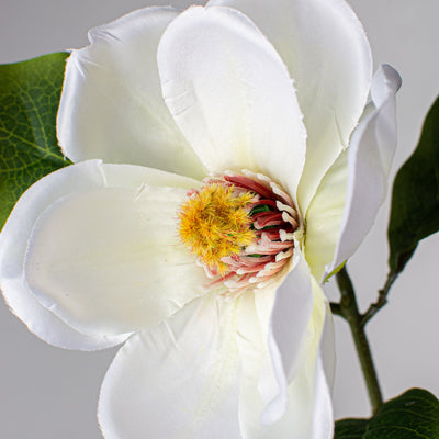 25" Single Magnolia Spray